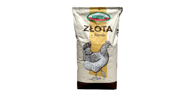 Nioska ZŁOTA