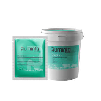 Ruminta Diablock