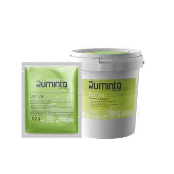 Ruminta Ecolyte