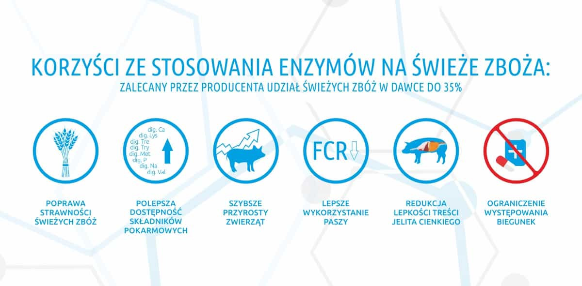 NEOZYM 0,5% - DODATEK DO ŚWIEŻYCH ZBÓŻ